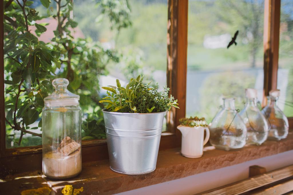 Dreimaederlhaus - Das Vegetarische Boutique Hotel Fussen Luaran gambar